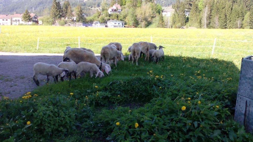 Ferienwohnung Haus Hämmerle Reutte Exterior foto